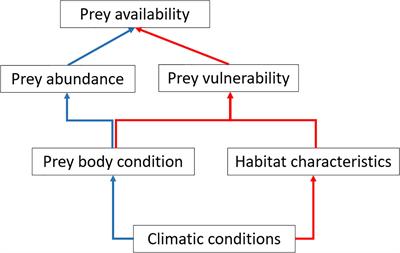 Frontiers | Climate Effects On Prey Vulnerability Modify Expectations ...